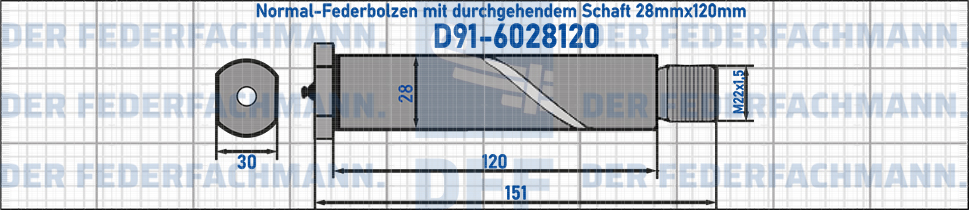Normal-Federbolzen mit durchgehendem Schaft 28mmx120mm