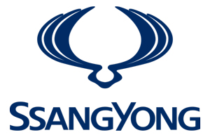 SSANG YONG