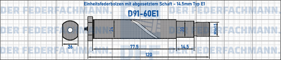 Federbolzen E1 - 24mm x 120mm