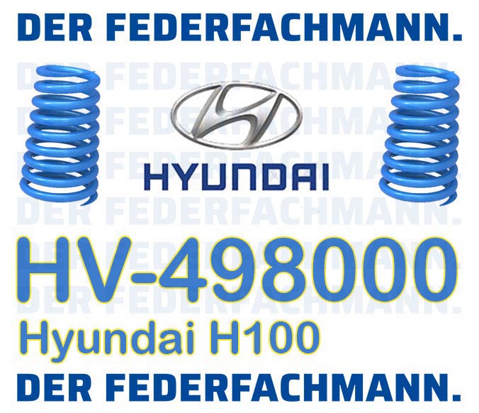Zusatzfedern fuer Hyundai H100 Verstaerkte Federn hinten