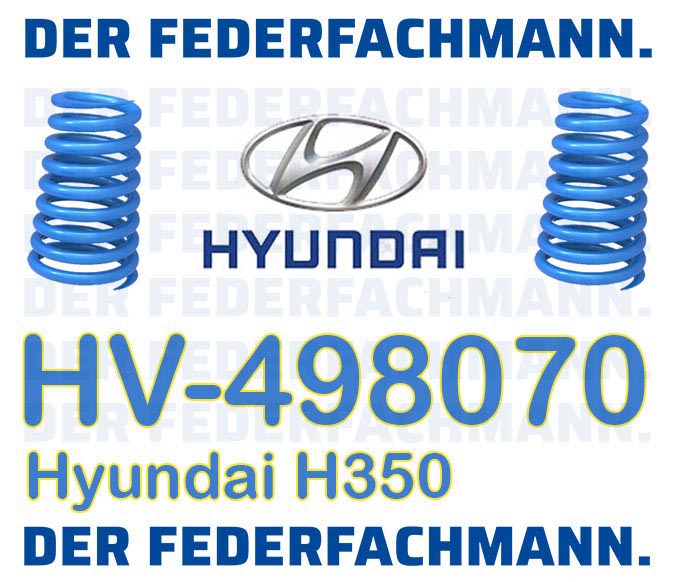 Zusatzfedern fuer Hyundai H350 Verstaerkte Federn hinten